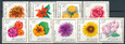 1548-1556 czyste** Kwiaty ogrodowe