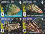 Montserrat WWF 2016 rok ryby czyste**