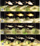 4711-4714 paski z dolnym marginesem czyste** Ryby zagrożone wyginięciem