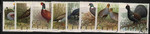 1841-1848 kasowane Ptaki łowne