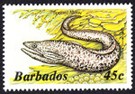Barbados Mi.0625 czysty**