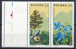 2223-2224 pustopole zadrukowane kolorowa linia ślad zszywacza czyste** 100 rocznica przewodnictwa górskiego w Polsce