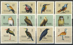 1062-1073 czyste** Ptaki chronione w Polsce
