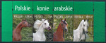 4173-4176 pasek nazwa emisji czyste** Polskie konie arabskie