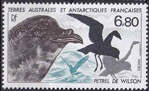 French Antarctic Territory Mi.0241 czysty**