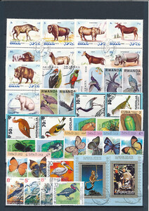 Fauna  plansza znaczków kasowanych