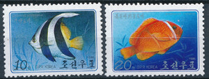 Korea ryby