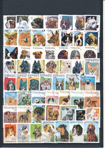 Fauna - Pies zestaw znaczków kasowanych