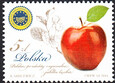 4539 czysty** Polskie produkty regionalne jabłko łąckie