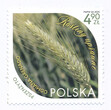 5458 czysty** Rośliny uprawne