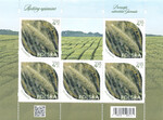 5458 Arkusik czysty** Rośliny uprawne