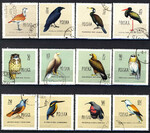 1062-1073 kasowane Ptaki chronione w Polsce