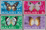 Malawi Mi.0195-198 I (Euphaedra zaddachi) czyste**