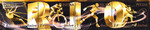 4698-4701 pasek czysty** Polska reprezentacja olimpijska Rio