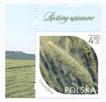 5458 górny lewy margines czysty** Rośliny uprawne
