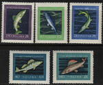 0906-910 czyste** Szlachetne gatunki ryb