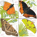 5452-5455 czysty** Motyle