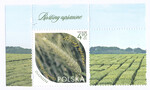 5458 przywieszka z prawej strony czyste** Rośliny uprawne