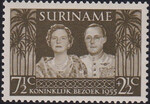 Surinam Mi.0359 czyste**