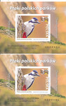 5366 Nowodruki A+B czyste** Ptaki polskich parków Dzięcioł