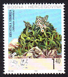 Bośnia i Hercegowina - Chorwacka Poczta Mi.0045 czysty**