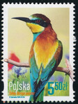 4540 czysty** Ptaki polski