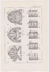 Czesław Słania "Atlas anatomiczny" tablica 2, IX rysunek "Powstawanie kręgów"