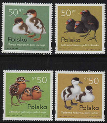3538-3541 czyste** Pisklęta zagniazdowniki