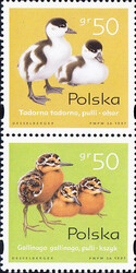 3538-3540 parka pionowa czyste** Pisklęta zagniazdowniki