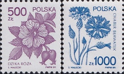 3097-3098 czyste** Rośliny lecznicze