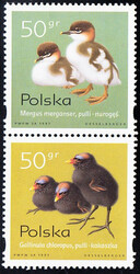 3539-3541 parka pionowa czyste** Pisklęta zagniazdowniki