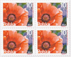 4680 w czwórce czysta** Kwiaty i owoce Mak