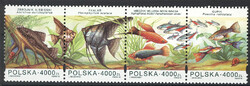 3357-3360 pasek czysty** Ryby akwariowe