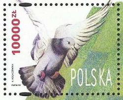 01 — kopia.jpg