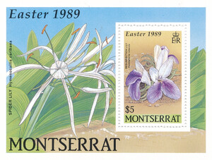Montserrat Mi.0745 Blok 52 czysty**
