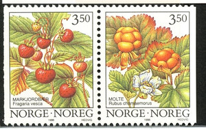Norwegia Mi.1204-1205 czyste** znaczki