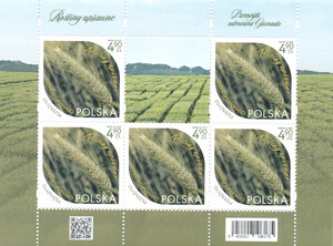 5458 Arkusik czysty** Rośliny uprawne