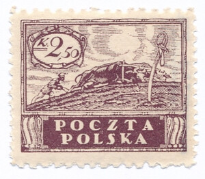 0083 B bu ciemnobrązowofioletowy papier biały ZL 10:11½ czysty** Wydanie w walucie koronowej