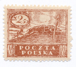 0095 B y papier żeberkowany poziomo gwarancja czysty** Wydanie w walucie markowej