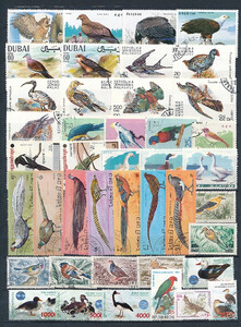 Ptaki zestaw znaczków kasowanych świat