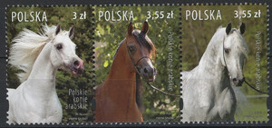 4174+4175+4176 pasek czyste** Polskie konie arabskie