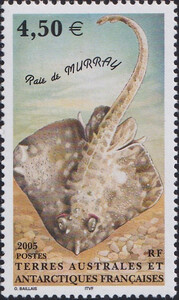 French Antarctic Territory Mi.0565 czysty**