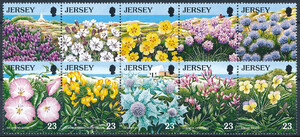 Jersey Mi.0702-711 czysty**
