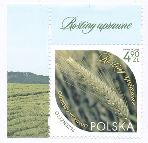 5458 górny lewy margines czysty** Rośliny uprawne