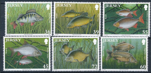 Jersey Mi.1514-1519 czyste**