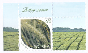 5458 przywieszka z prawej strony czyste** Rośliny uprawne