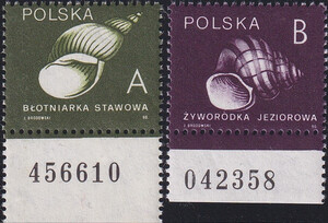3124-3125 x papier gruby numeracja czyste** Ślimaki i małże