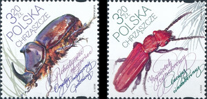 4869-4870 czyste** Chrząszcze