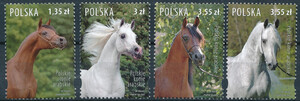 4173-4176 czyste** Polskie konie arabskie