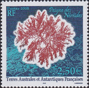 French Antarctic Territory Mi.0563 czysty**